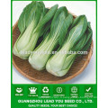 NPK01 Mande Hybride chinois pak choi graines, graines de xiaobaicai